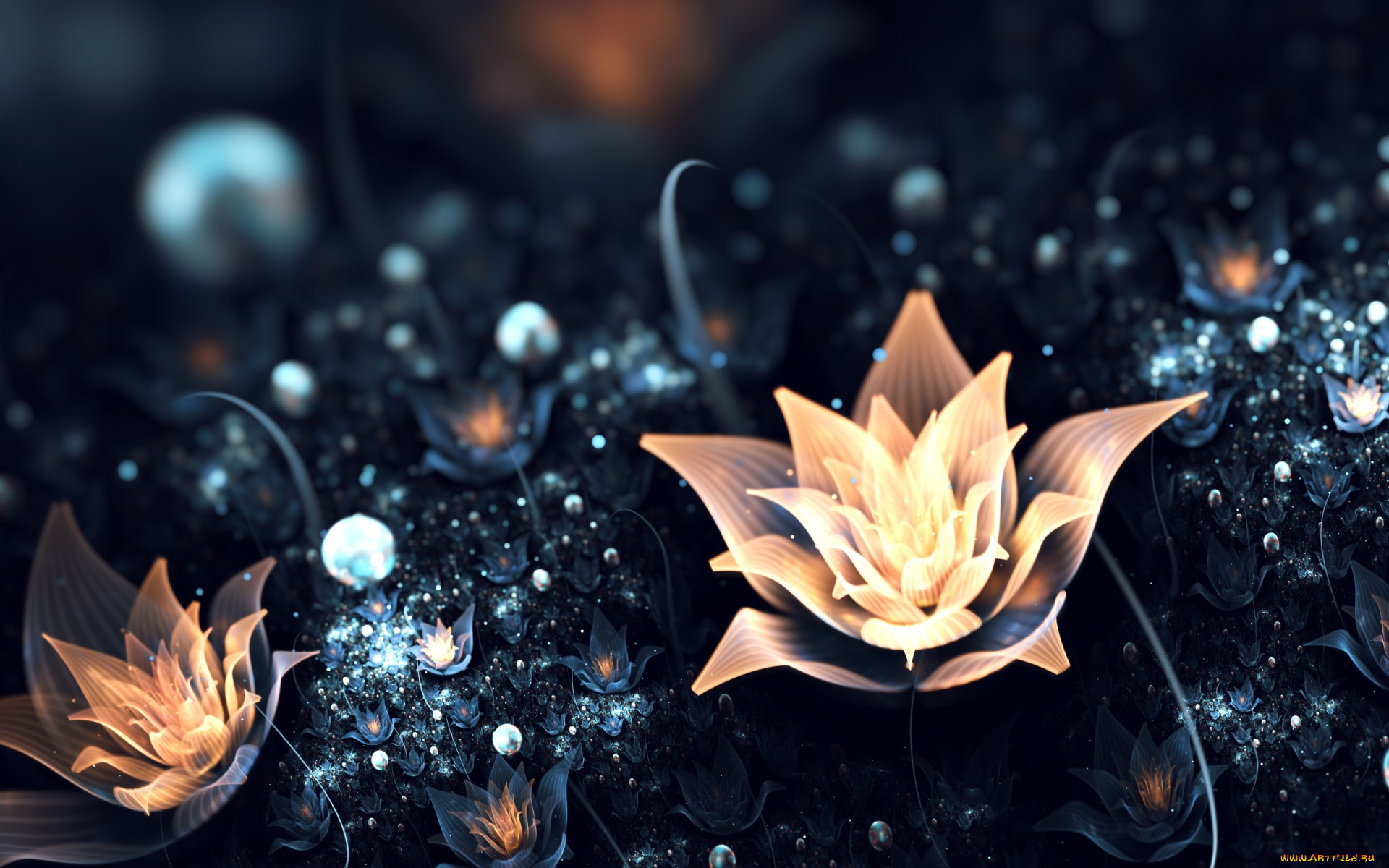 3 ,  , flowers, , , , 